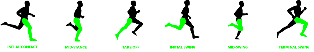 Stages in running